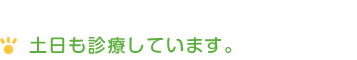 土日も診療しています。 土日も診療しています。